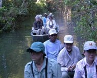 Group birding at Roosevelt river in the Amazon (Rondônia state).