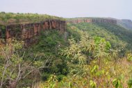 Canyon and its gallery forest in Chapada dos  Guimarães National Park