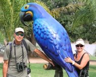 Rick, Debbie and the Hyacinth Macaw (bird symbol of the Pantanal biome)
