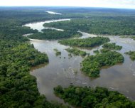 Flying into the wonderful Amazonian wilderness along the Rio Roosevelt, to the plush lodge in Rondônia state. Birding Brazil Tours are proud to have set up the first birding tours to this spectacular site.